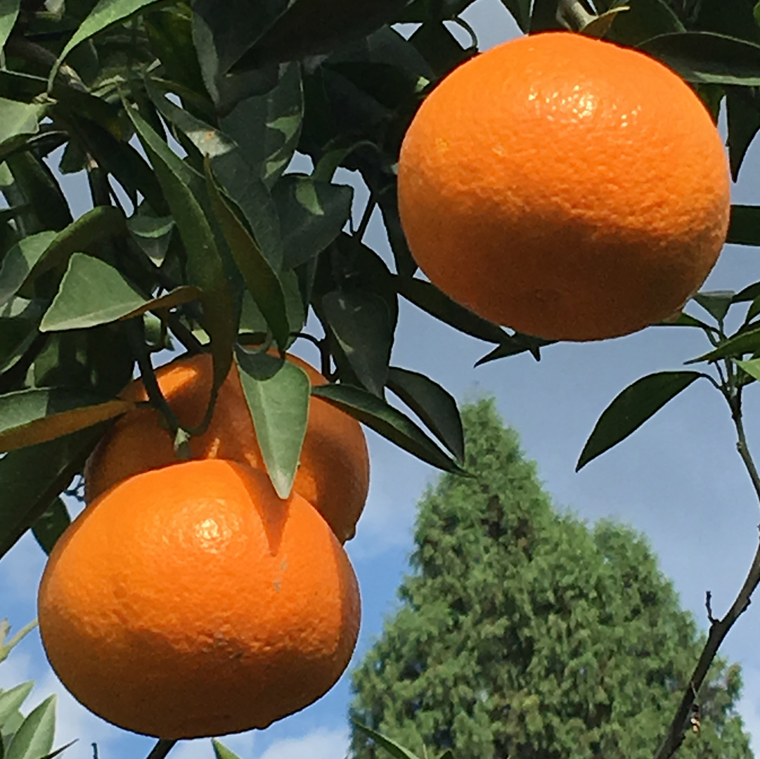 Cloud Zoom small image