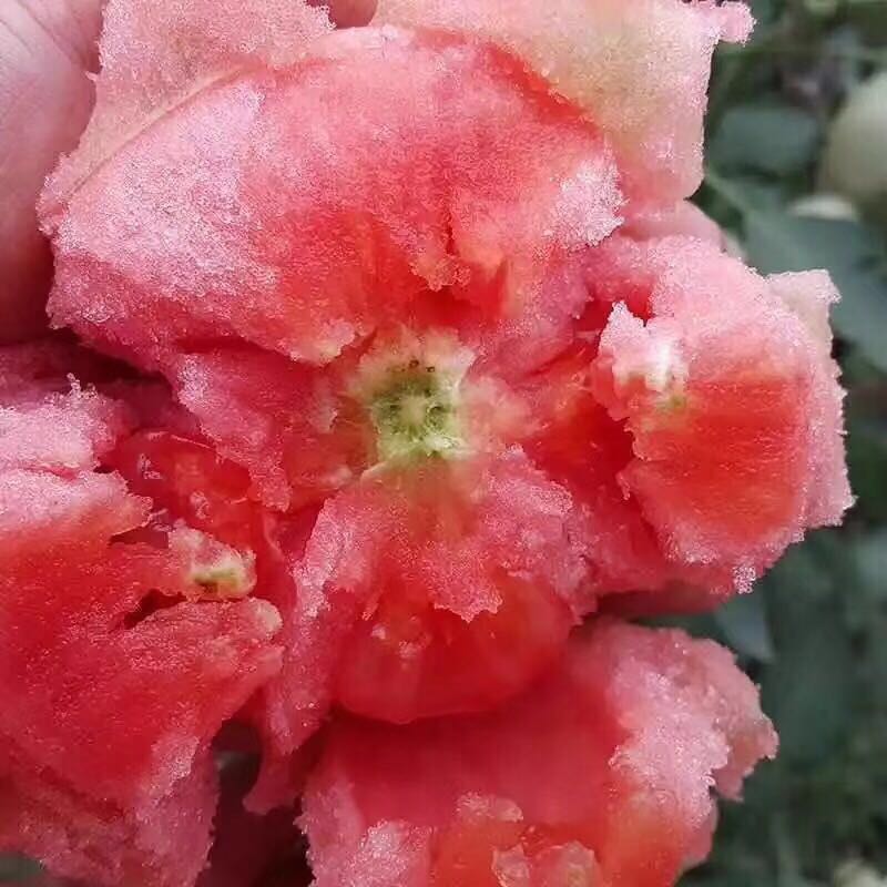 Cloud Zoom small image