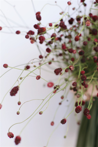 20200221083448_41788.png 5.png