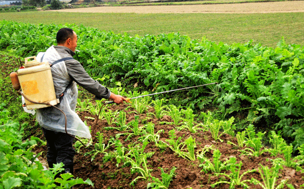 2017下期摄影班陈淑琴学员作品