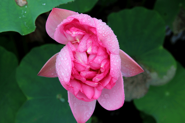 2017下期摄影班胡国容学员作品