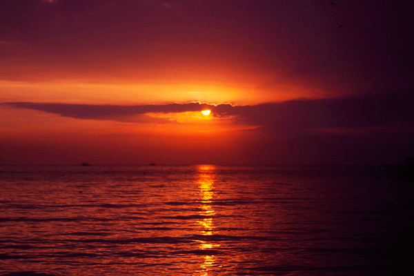 2017下期摄影班龙太富学员作品