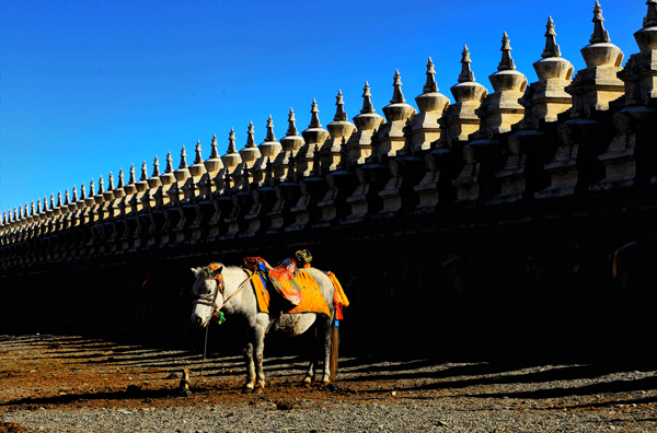 2018老年大学下期摄影班罗国疆学员作品