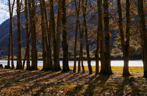 2018老年大学下期摄影班罗国疆学员作品