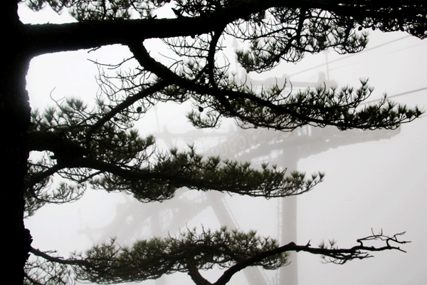 2018老年大学下期摄影班周阿义学员作品