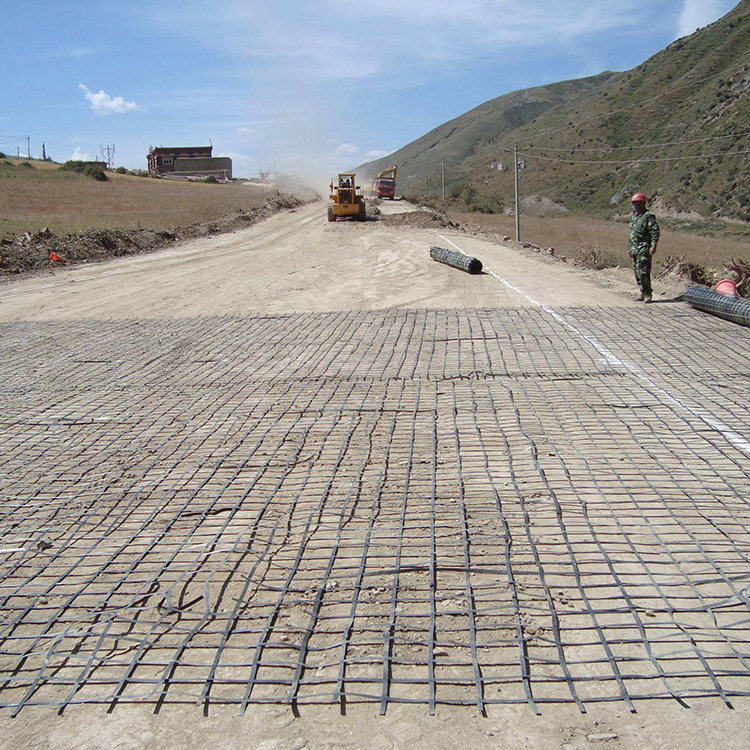 钢塑土工格栅项目