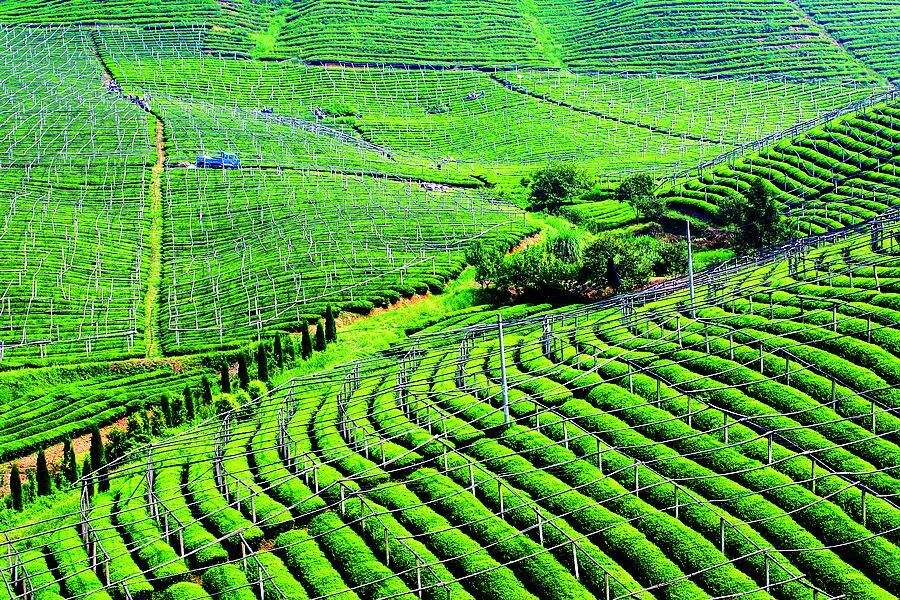 水溶肥料的种类及标准