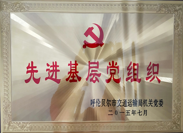 2015年先进基层党组织