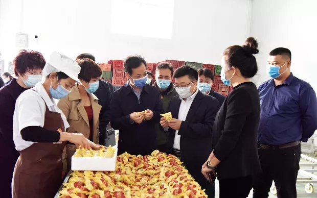 北海市委副书记、组织部部长李伦兵到2020白菜网址送彩金大全调研