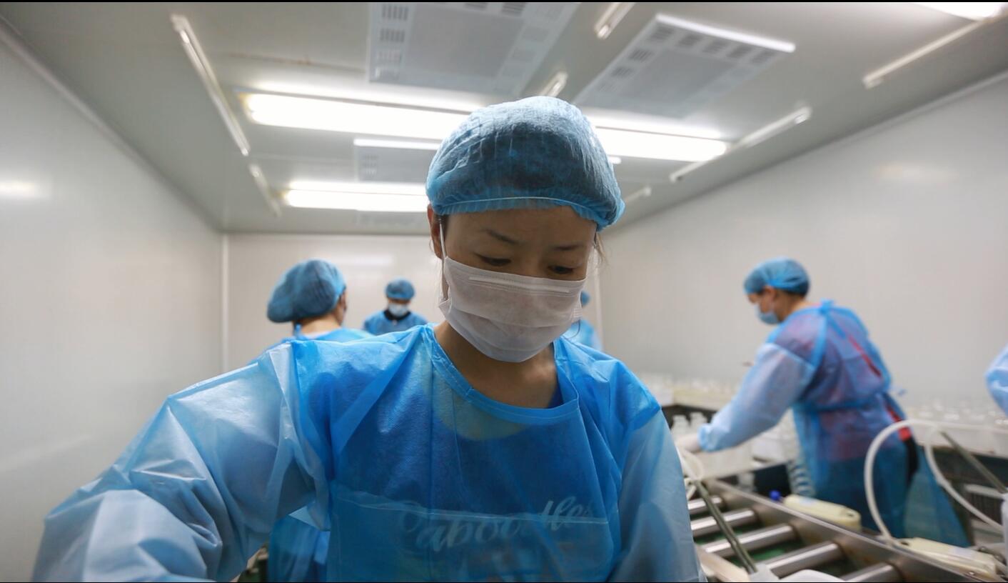 GMP无菌车间育种进行中