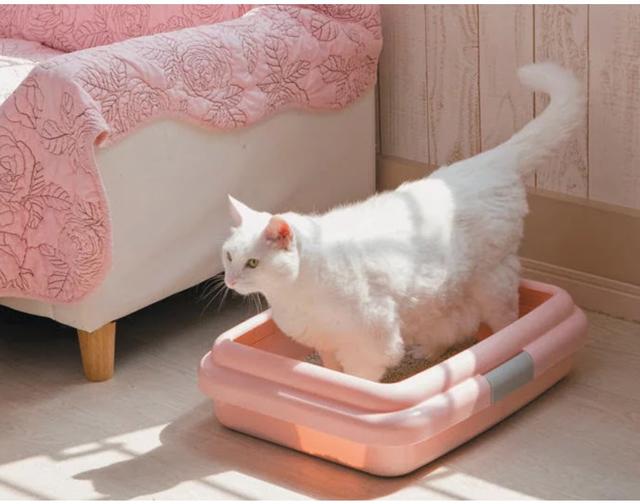 上厕所很重要, 训练要趁早