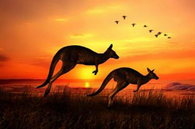 186澳洲移民与187澳洲移民的区别