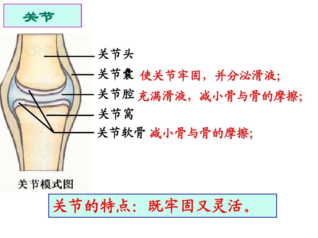 台湾长庚医院人工全髋关节置换手术