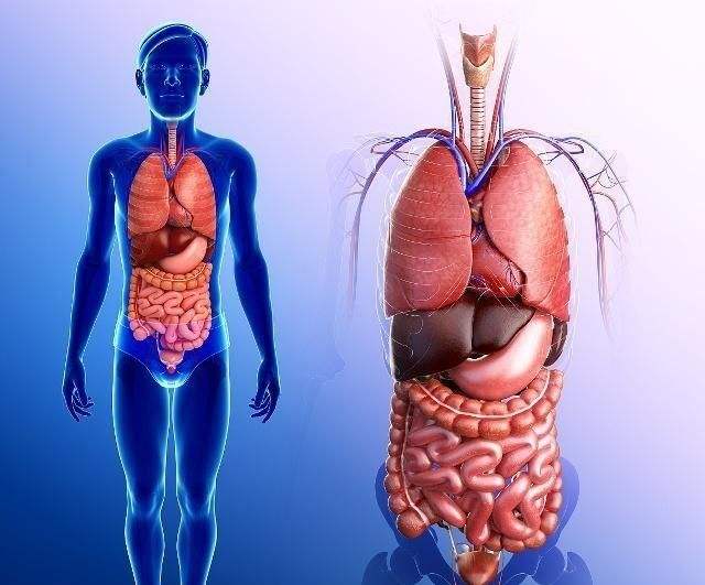 台湾长庚医院质子治疗肝癌