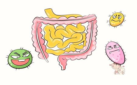 台湾长庚医院医师介绍人工肛门造口 台湾长庚医院医师介绍人工肛门造口