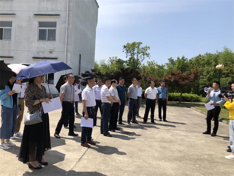 代表青阳视察1.jpg