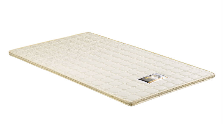 棕之宝(米色) 副本.jpg