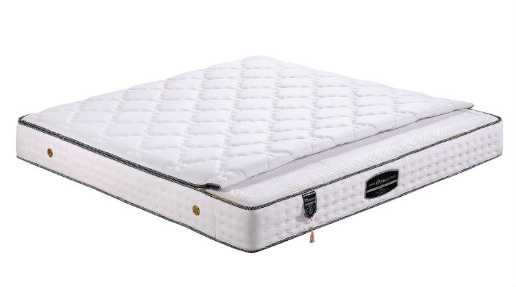 豪情(乳胶) 副本.jpg