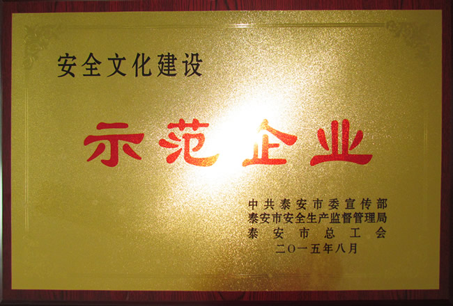 安全文化建设示范企业