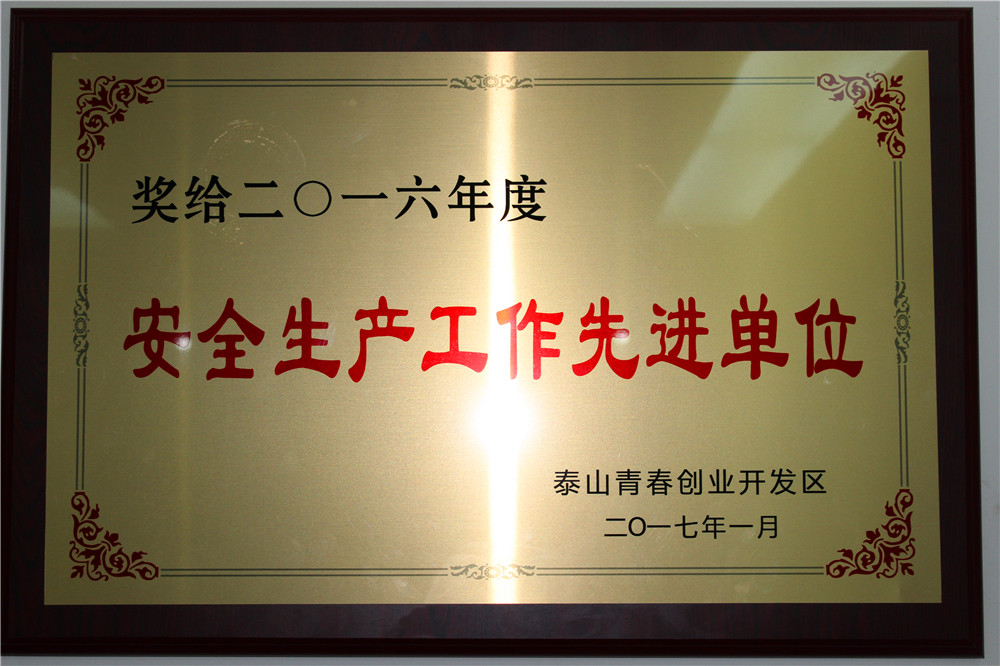 2016年度安全生产工作先进单位