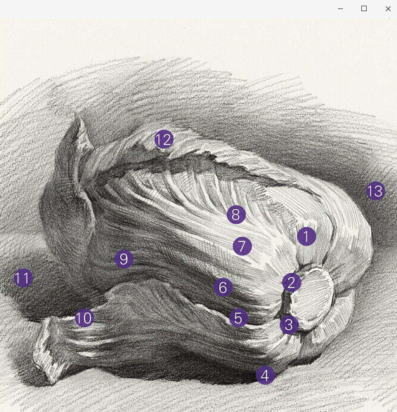 单个物体白菜的素描绘画步骤-资料库-暑假班课-日照优途教育