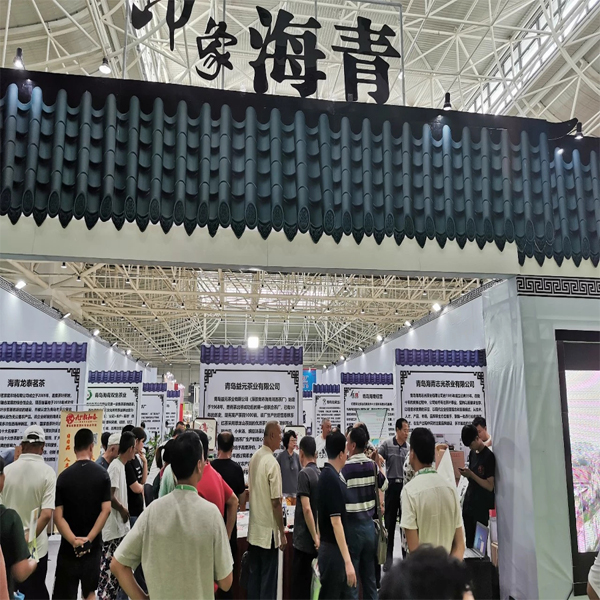 海青政府组团参展