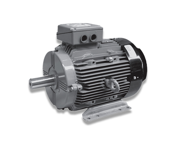 W系列超高效率电机