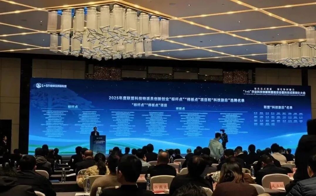 20251222131220_82597.jpg cbd516e6603f2ca263eaf9e26bea5898.jpg