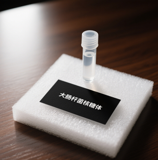 20250509133700_58716.png 压缩大肠杆菌核糖体.png