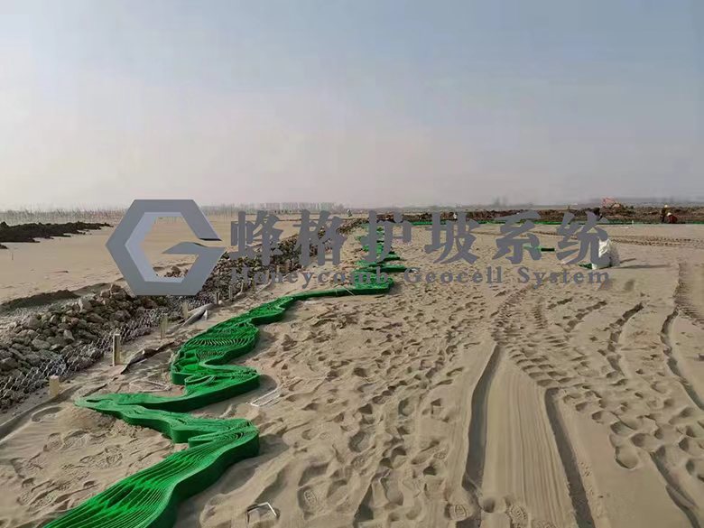 蜂格护坡系统、蜂格、蜂格网