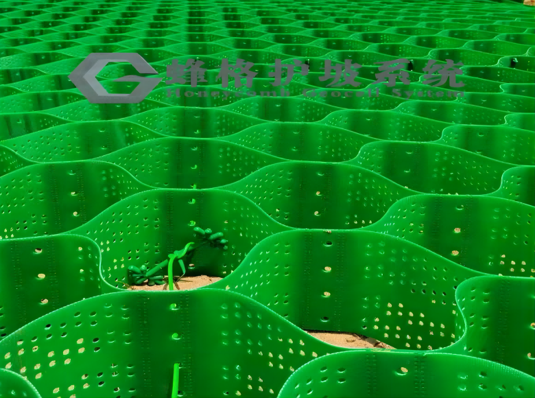 20220811121131_92634.png 图片1(1).png