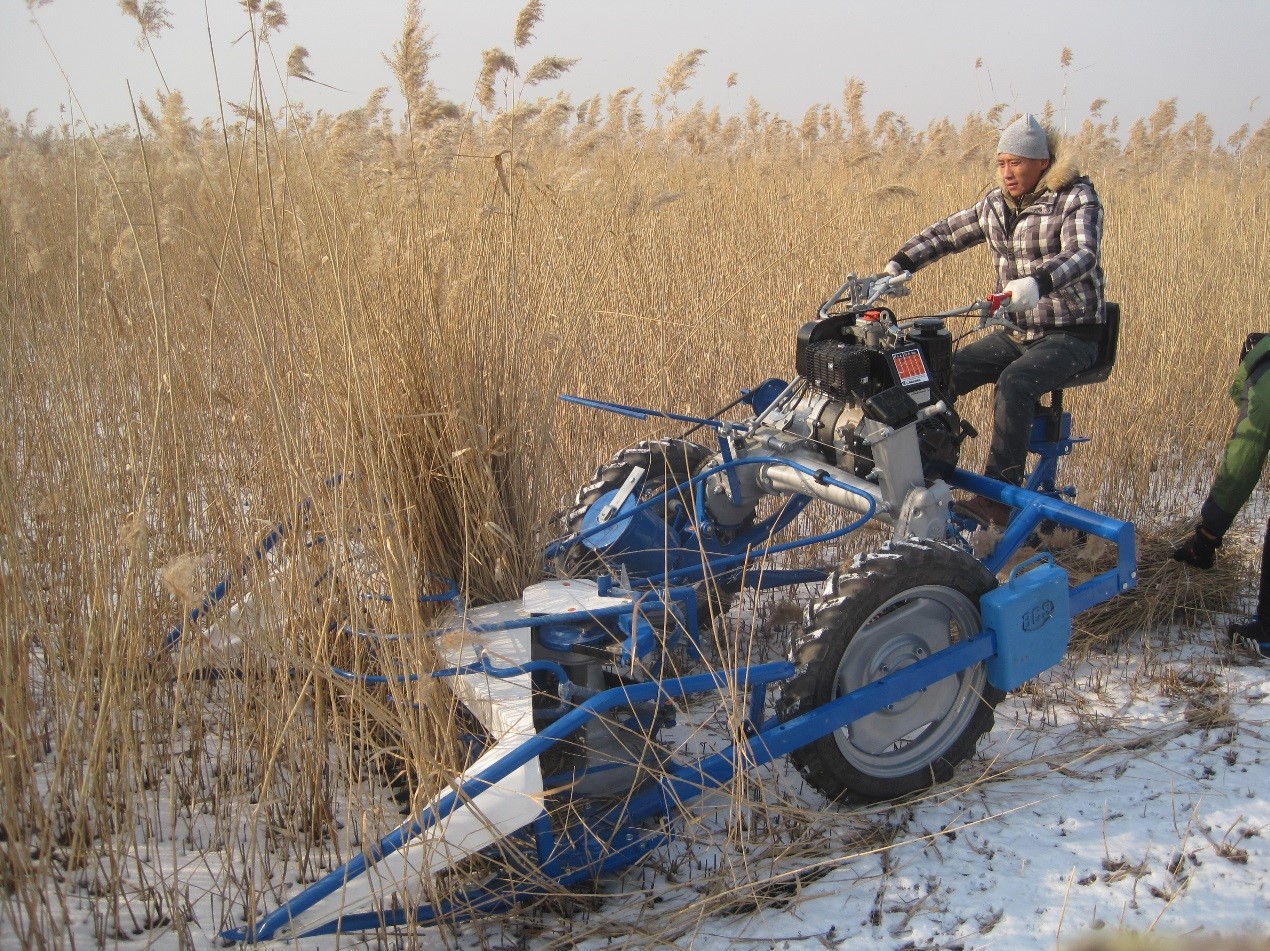 北垦农机公司与意大利必圣士公司签订割捆机中国区独家代理协议