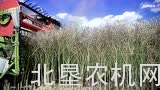 克拉斯新型割台作业视频