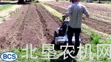 BCS微耕机作业视频