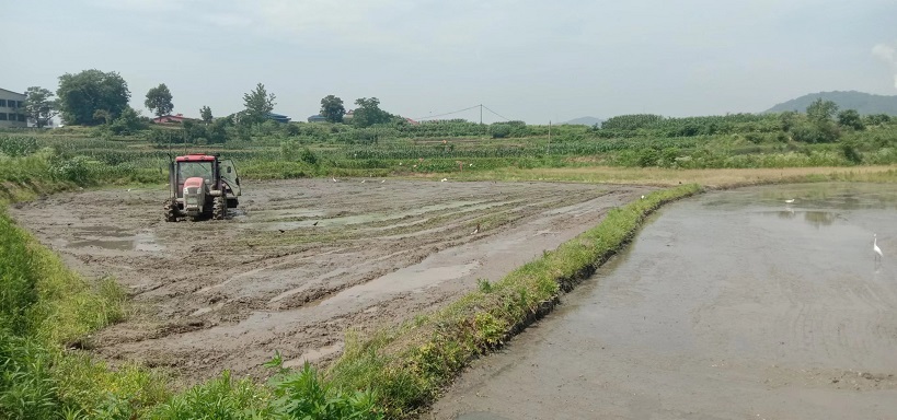 老苏服务日记2022年6月8日