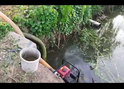 老苏服务日记2022年8月11日