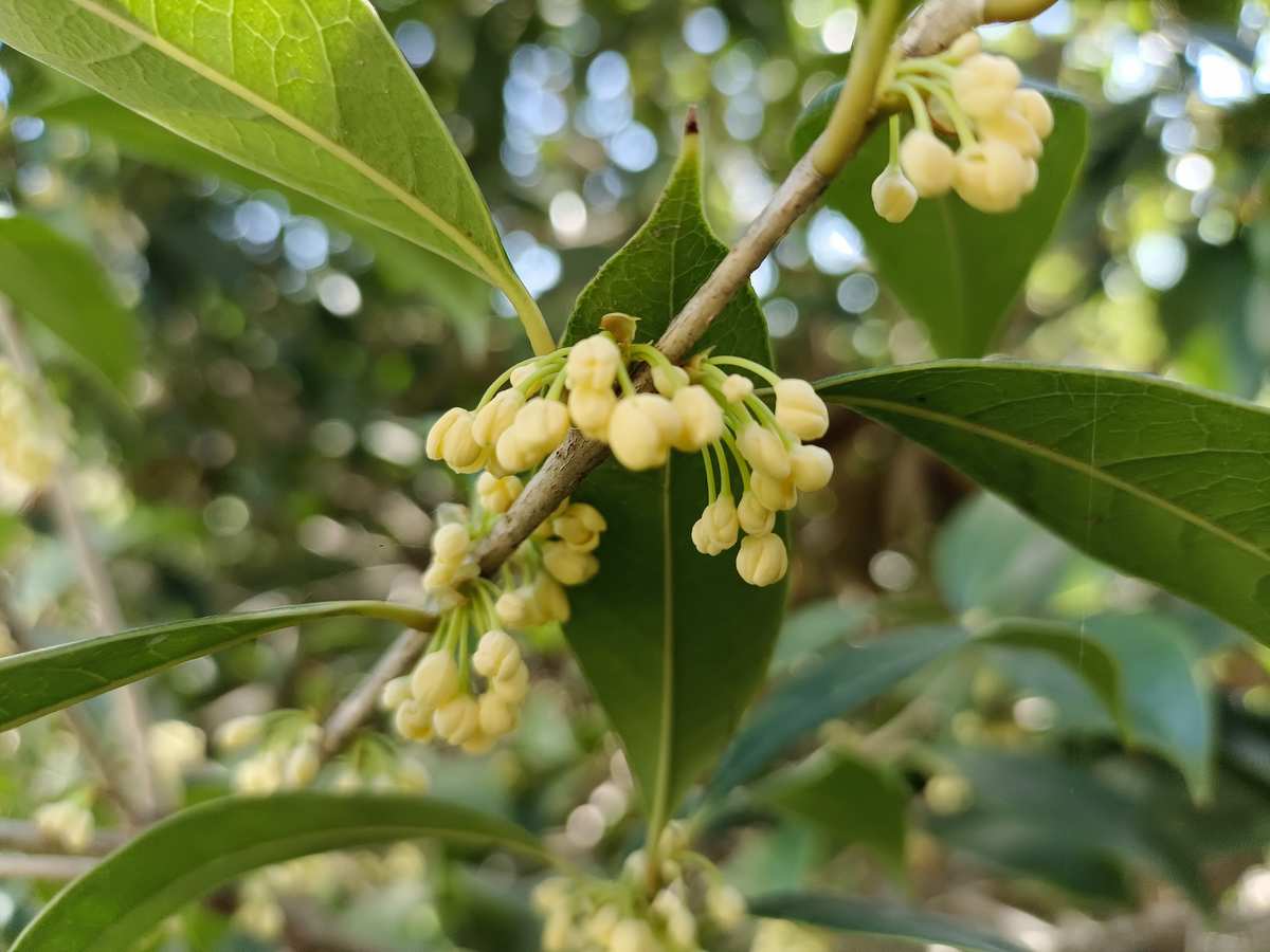 老苏服务日记2022年10月24日