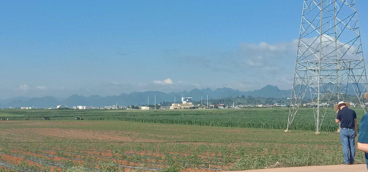 老苏服务日记2022年12月26日