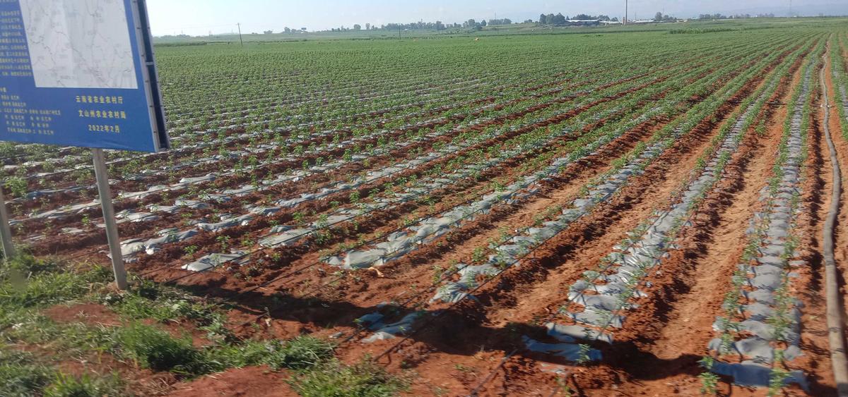 老苏服务日记2022年12月30日