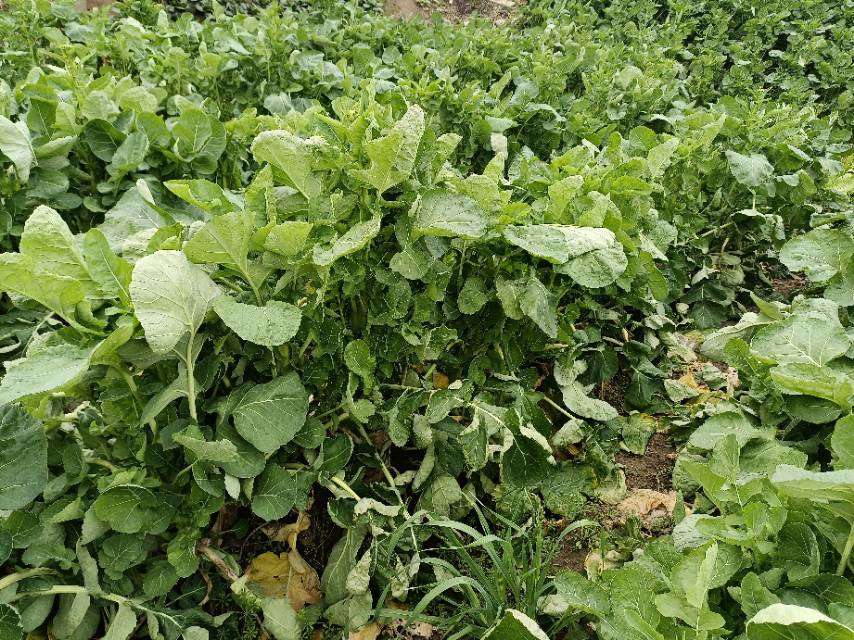 老苏服务日记2023年2月19日