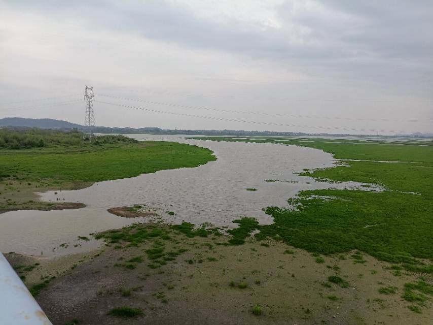 老苏服务日记2023年4月5日