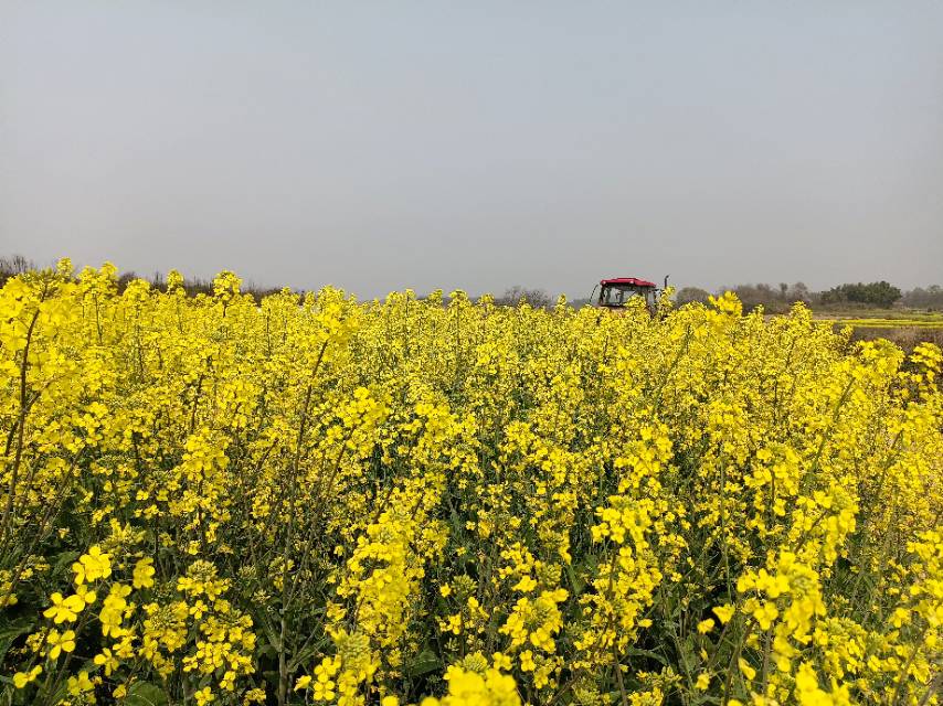 老苏服务日记2023年4月13日