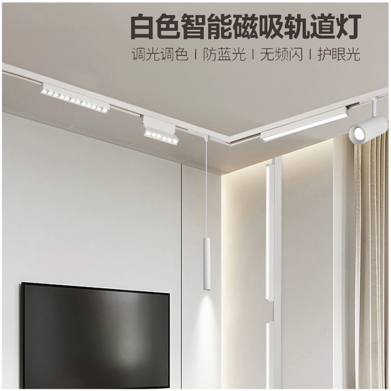 S20型 磁吸轨道 白色款2.jpg