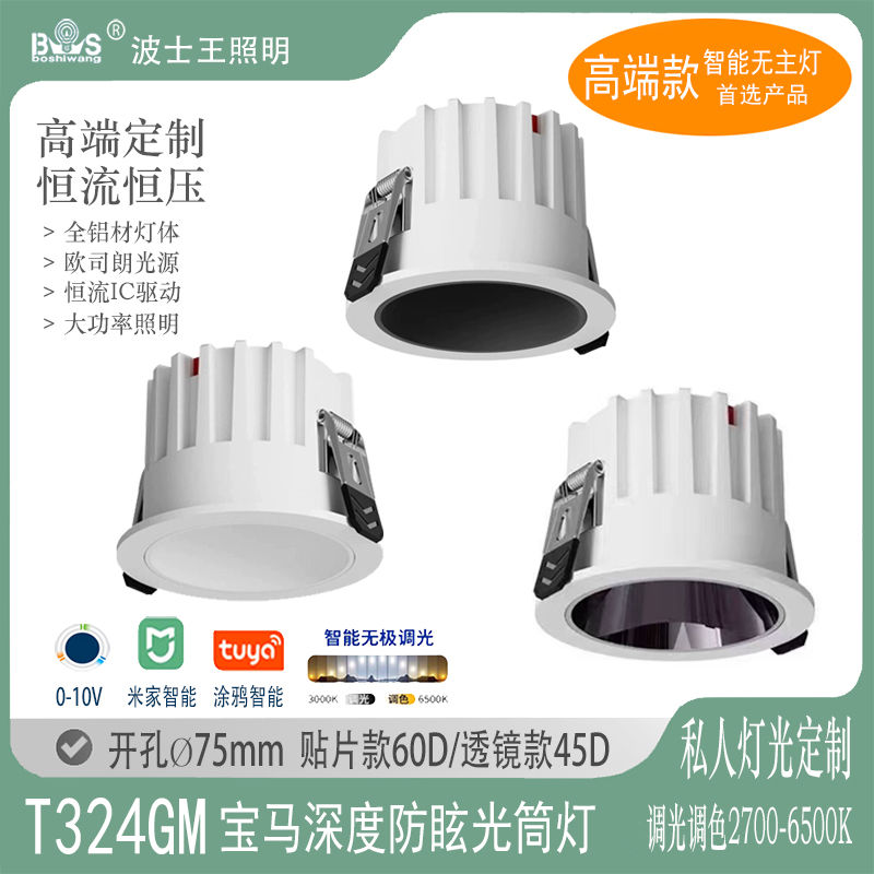 T324GM宝马 深防眩筒灯52.jpg