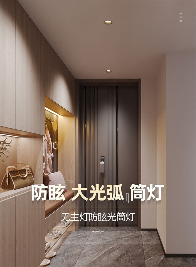 T313S1神州 筒灯11.jpg