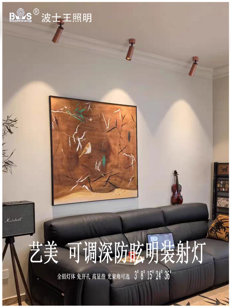 S5037YT艺美 明装射灯13.jpg