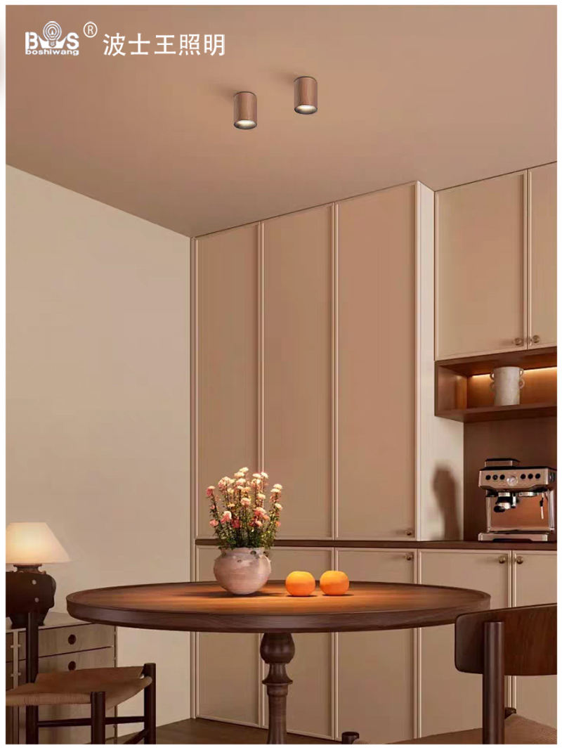 S5040YT不可调 明装射灯19.jpg