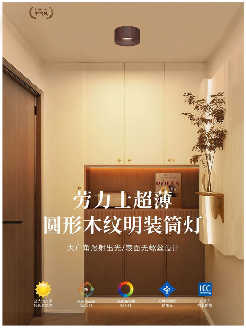 S5054YH劳力士 明装射灯21.jpg