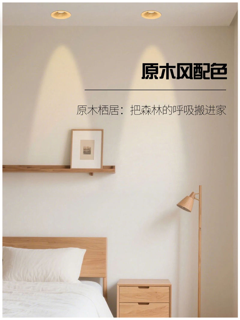 S5055YT鸿蒙 弧面射灯24.jpg