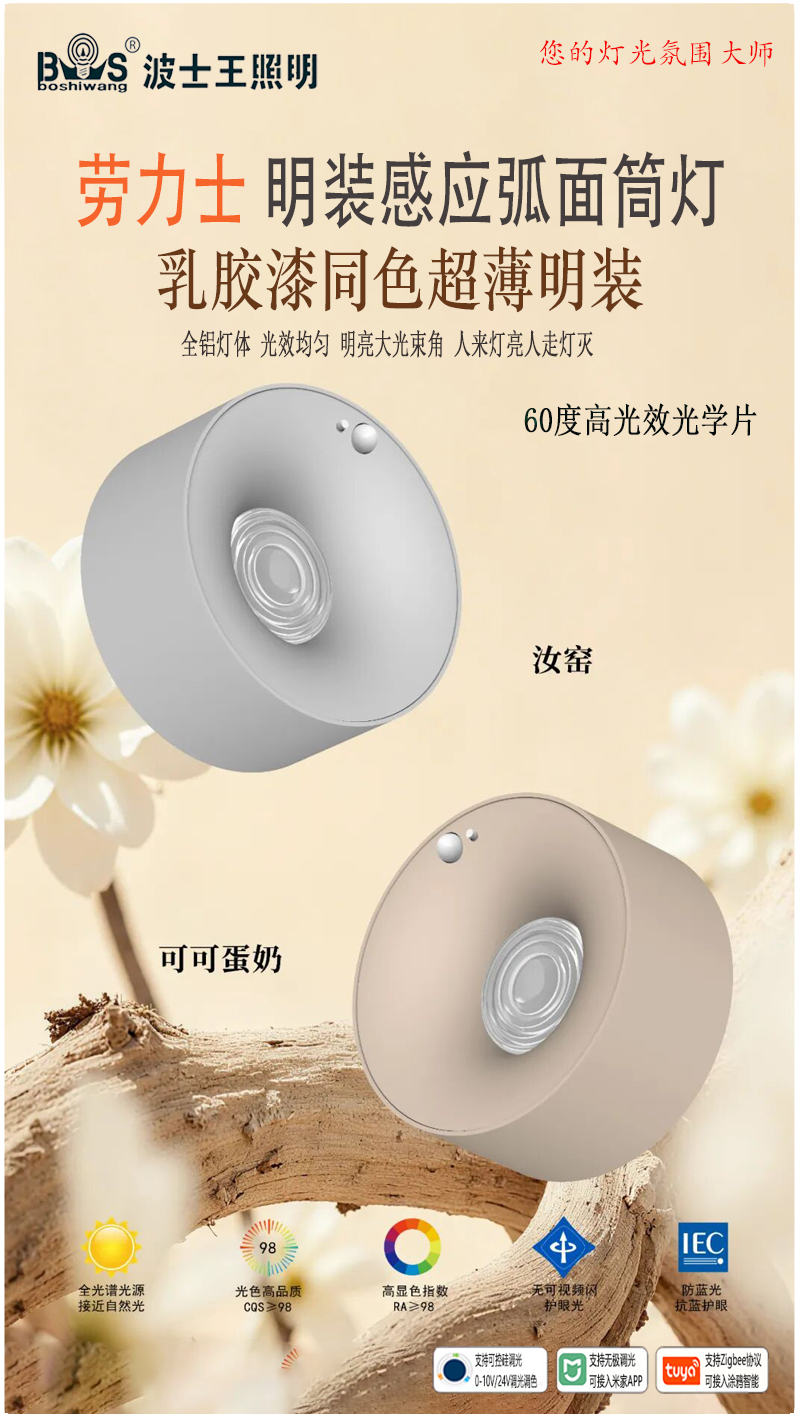 乳胶漆 劳力士 明装光学片 感应款1.jpg